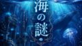 海の謎