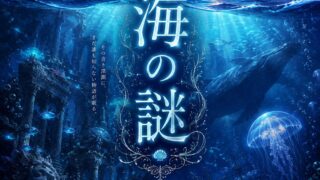 海の謎
